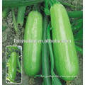 Hybrid Squash seeds for growing-Bajoo